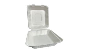 8″ White Bagasse...